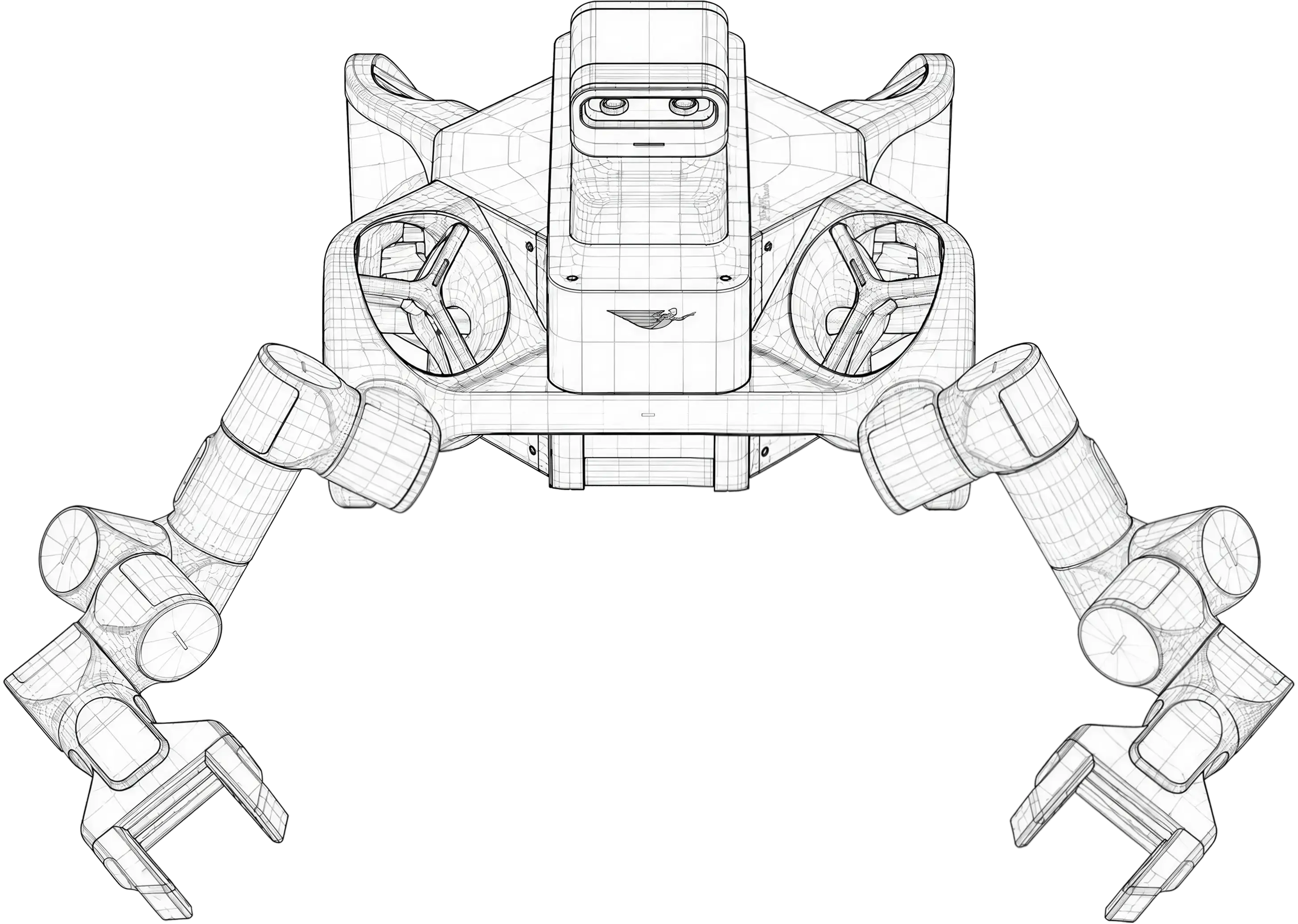 Wireframe rendering of Joy